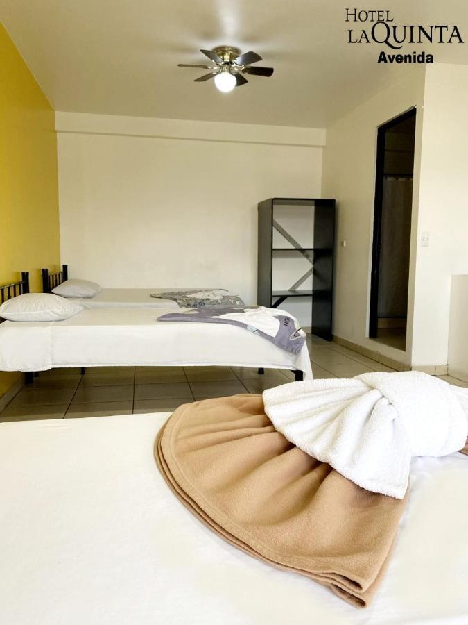 Hotel Quinta Avenida San Jose  Luaran gambar
