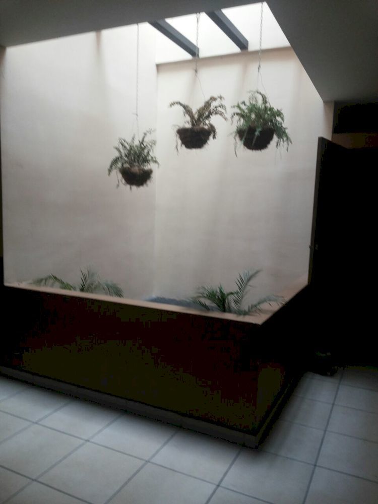 Hotel Quinta Avenida San Jose  Luaran gambar